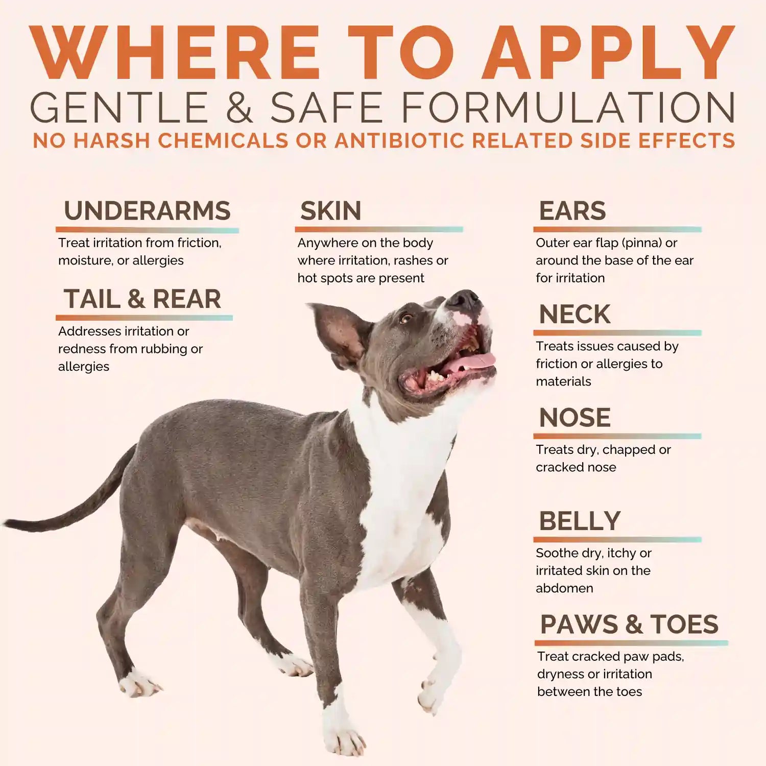 ClearFur Natural Hot Spot & Itch Relief Skin Cream for Dogs & Cats | Where To Apply With Dog Photo Image