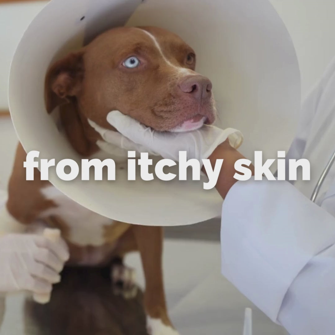 ClearFur Natural Hot Spot & Itch Relief Skin Cream for Dogs & Cats